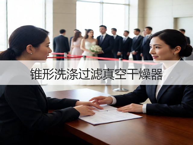 锥形洗涤过滤真空干燥器(图2) 锥形洗涤过滤真空干燥器(图2)