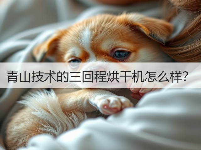 青山技术的三回程烘干机怎么样？(图3)