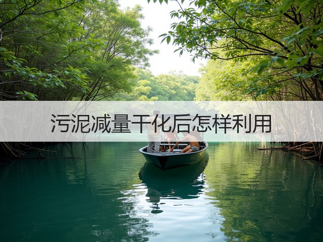 污泥减量干化后怎样利用(图3) 污泥减量干化后怎样利用(图3)