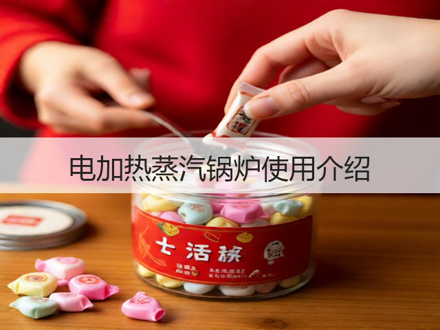 电加热蒸汽锅炉使用介绍(图2) 电加热蒸汽锅炉使用介绍(图2)