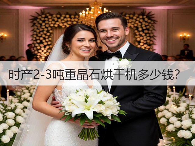 时产2-3吨重晶石烘干机多少钱？(图1)