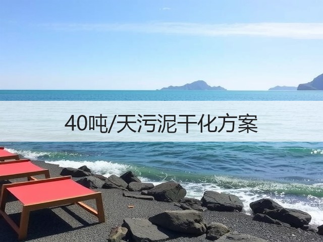 40吨/天污泥干化方案(图1)