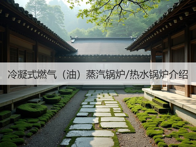 冷凝式燃气（油）蒸汽锅炉/热水锅炉介绍(图2)