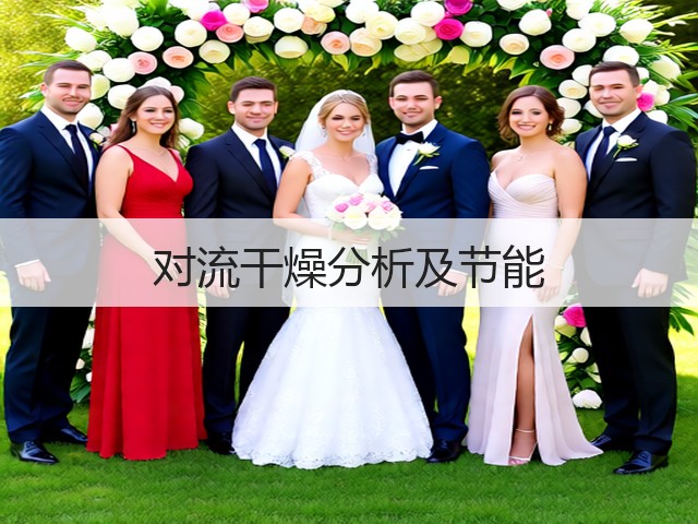 对流干燥分析及节能(图3) 对流干燥分析及节能(图3)
