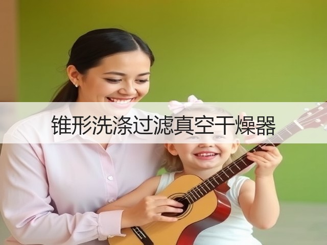 锥形洗涤过滤真空干燥器(图1) 锥形洗涤过滤真空干燥器(图1)