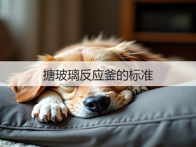 搪玻璃反应釜的标准(图3) 搪玻璃反应釜的标准(图3)