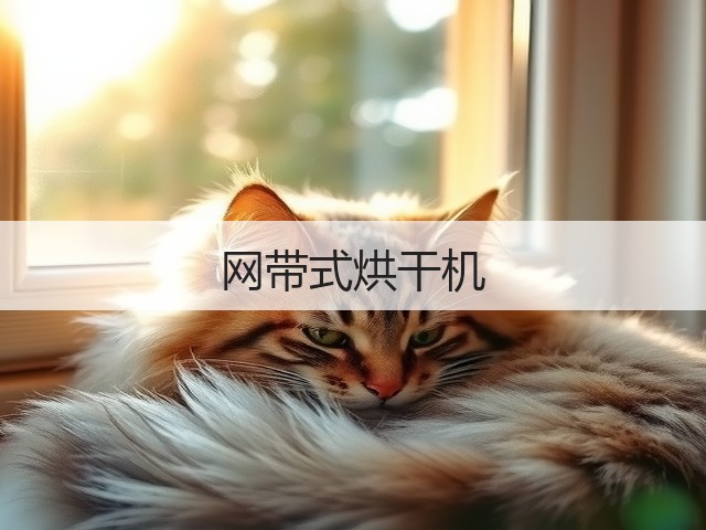 网带式烘干机(图1) 网带式烘干机(图1)