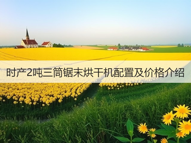 时产2吨三筒锯末烘干机配置及价格介绍(图2) 时产2吨三筒锯末烘干机配置及价格介绍(图2)