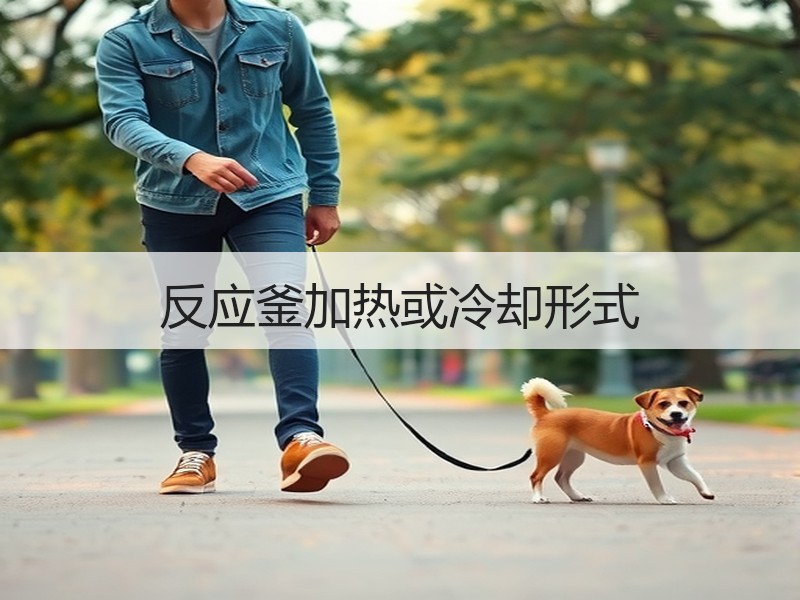 反应釜加热或冷却形式