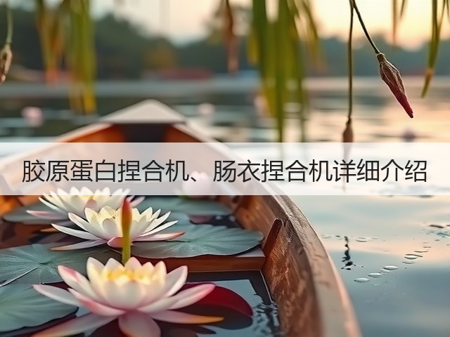 胶原蛋白捏合机、肠衣捏合机详细介绍(图3) 胶原蛋白捏合机、肠衣捏合机详细介绍(图3)