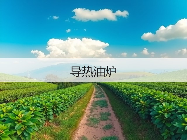导热油炉(图2) 导热油炉(图2)
