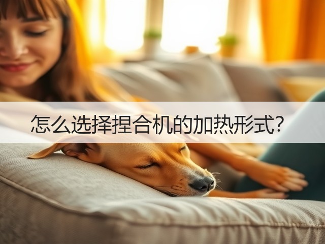 怎么选择捏合机的加热形式?(图1) 怎么选择捏合机的加热形式?(图1)