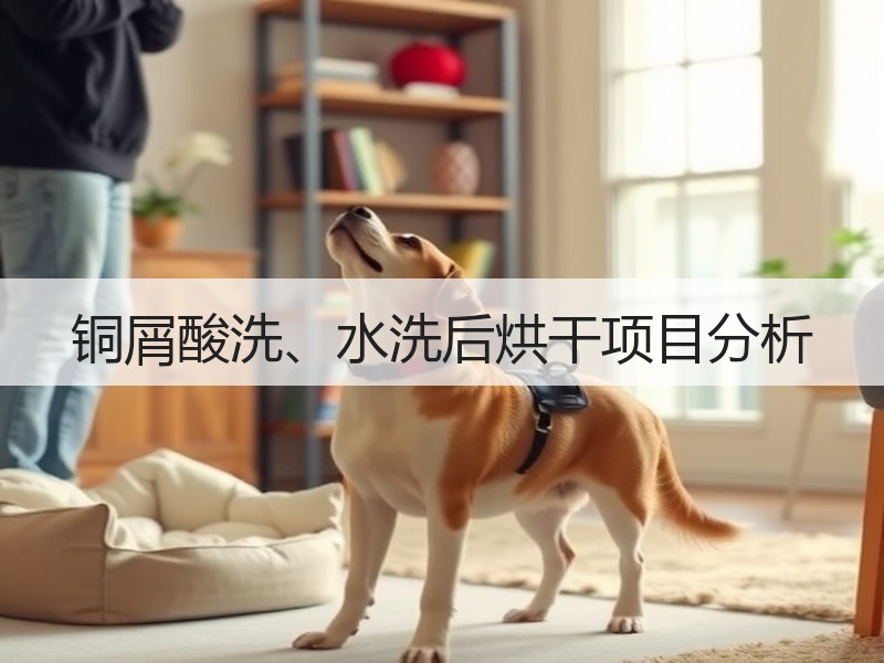 铜屑酸洗、水洗后烘干项目分析 铜屑酸洗、水洗后烘干项目分析