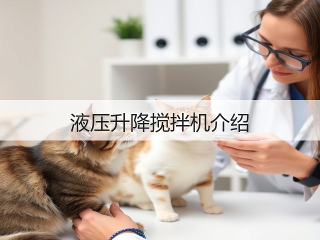 液压升降搅拌机介绍(图1)