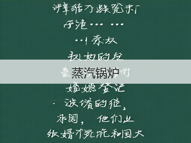 蒸汽锅炉(图3) 蒸汽锅炉(图3)