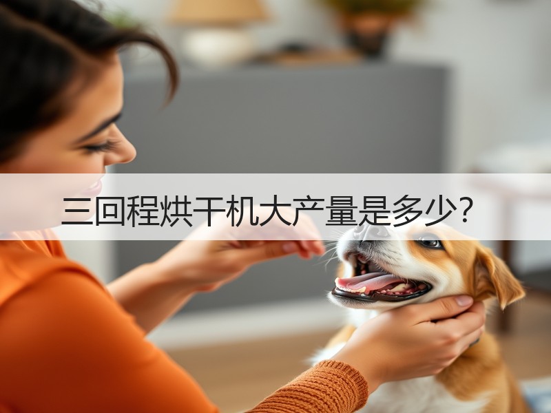 三回程烘干机大产量是多少? 三回程烘干机大产量是多少?