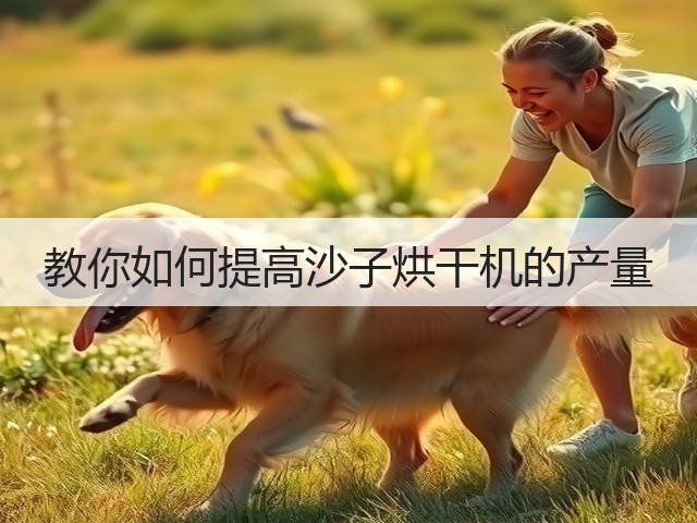 教你如何提高沙子烘干机的产量(图2)