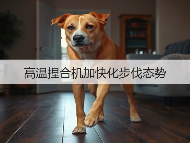 高温捏合机加快化步伐态势(图1)