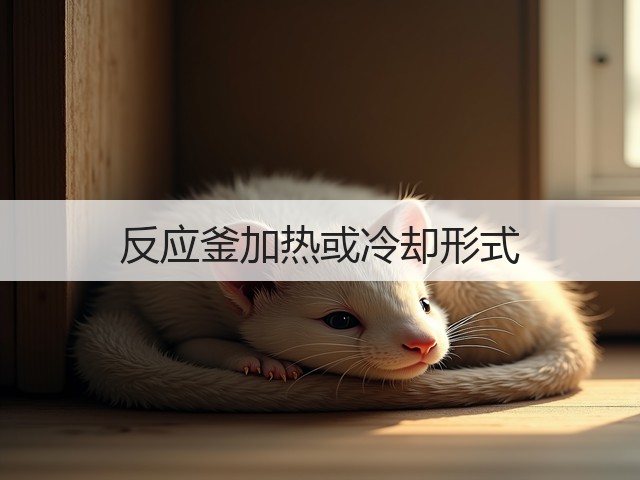 反应釜加热或冷却形式(图1) 反应釜加热或冷却形式(图1)