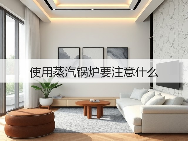 使用蒸汽锅炉要注意什么(图2)