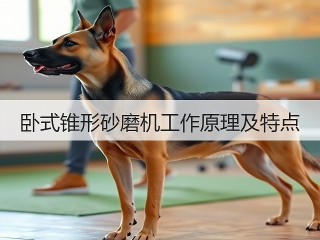 卧式锥形砂磨机工作原理及特点(图1)