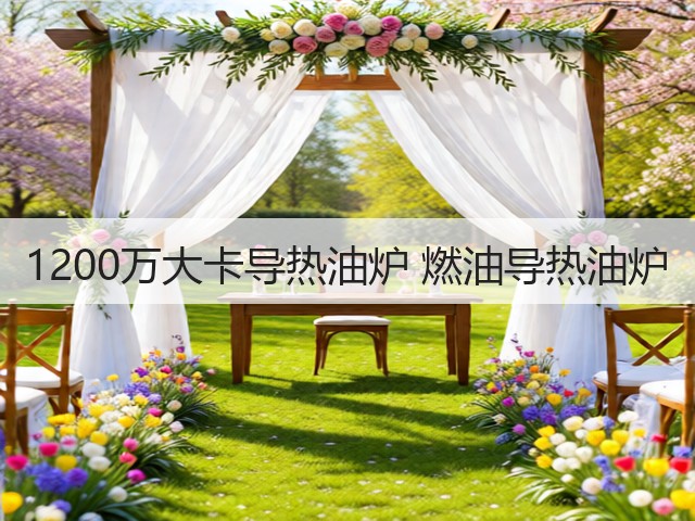 1200万大卡导热油炉 燃油导热油炉(图1) 1200万大卡导热油炉 燃油导热油炉(图1)