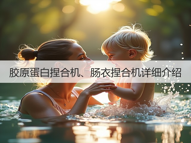胶原蛋白捏合机、肠衣捏合机详细介绍(图2)