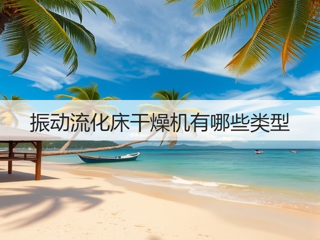 振动流化床干燥机有哪些类型(图1) 振动流化床干燥机有哪些类型(图1)