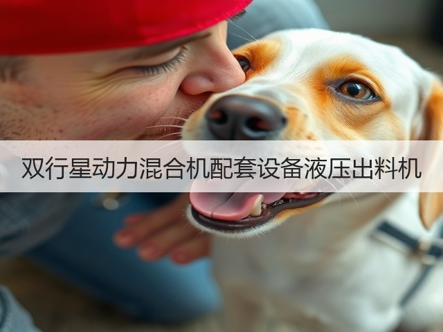 双行星动力混合机配套设备液压出料机(图2)