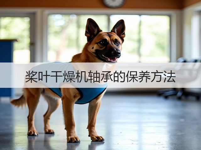 桨叶干燥机轴承的保养方法(图1) 桨叶干燥机轴承的保养方法(图1)