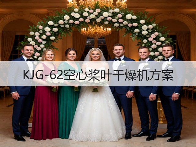 KJG-62空心桨叶干燥机方案(图1) KJG-62空心桨叶干燥机方案(图1)