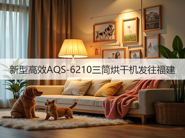 新型高效AQS-6210三筒烘干机发往福建(图3)