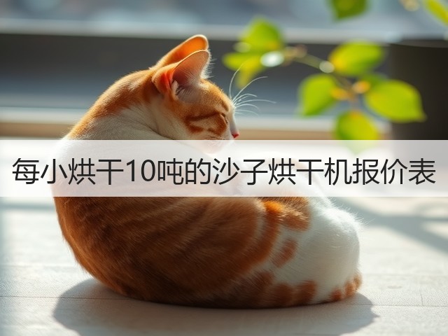 每小烘干10吨的沙子烘干机报价表(图1)