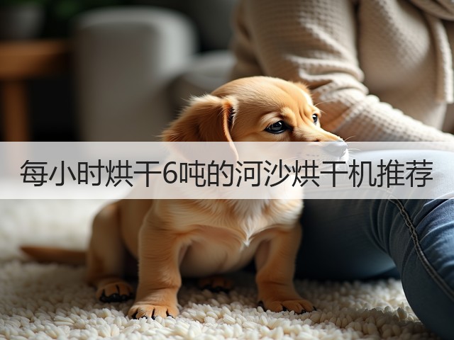 每小时烘干6吨的河沙烘干机推荐(图2)