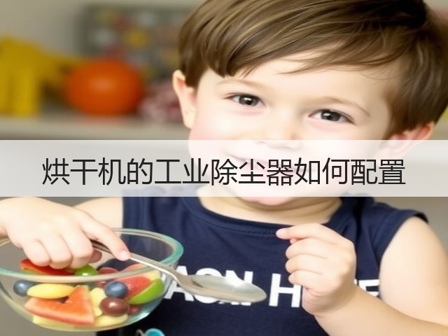 烘干机的工业除尘器如何配置(图2)