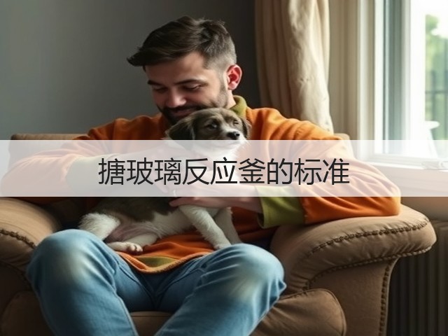 搪玻璃反应釜的标准(图2) 搪玻璃反应釜的标准(图2)