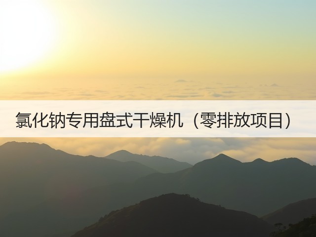 氯化钠专用盘式干燥机(零排放项目)(图2) 氯化钠专用盘式干燥机(零排放项目)(图2)