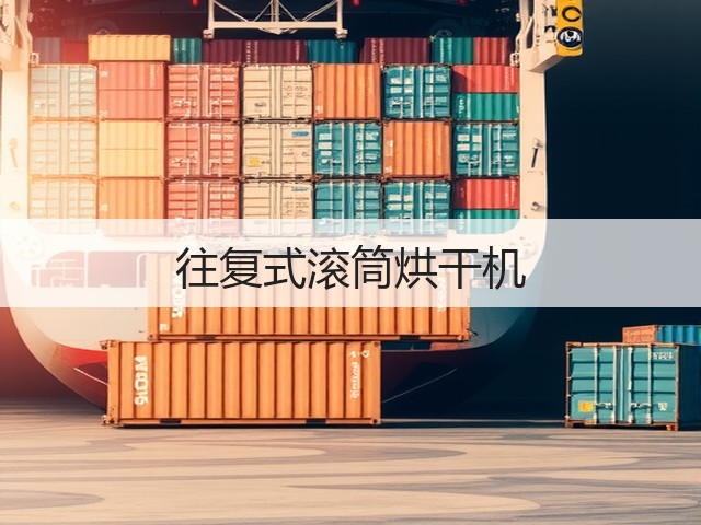 往复式滚筒烘干机(图2)
