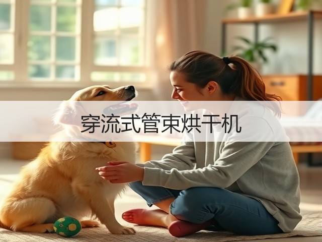 穿流式管束烘干机(图3)