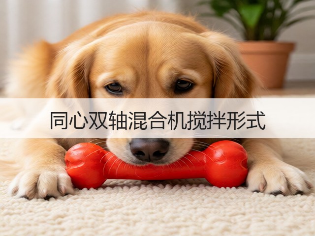 同心双轴混合机搅拌形式(图1) 同心双轴混合机搅拌形式(图1)