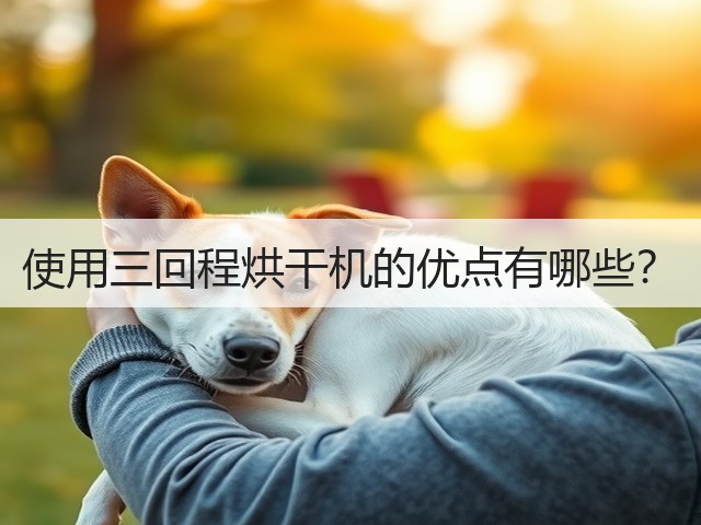 使用三回程烘干机的优点有哪些?(图3) 使用三回程烘干机的优点有哪些?(图3)