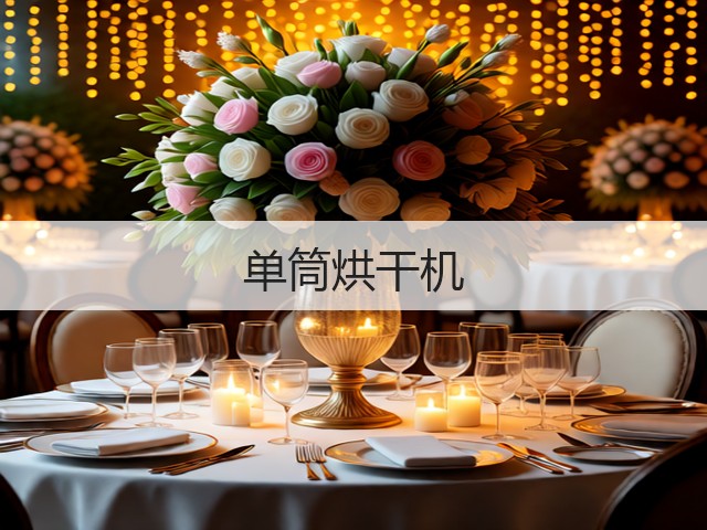单筒烘干机(图2) 单筒烘干机(图2)