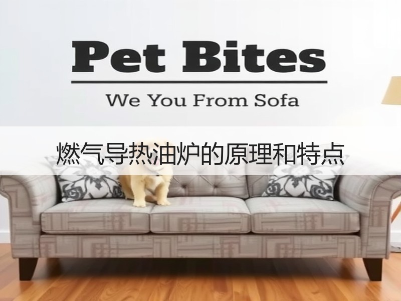 燃气导热油炉的原理和特点 燃气导热油炉的原理和特点