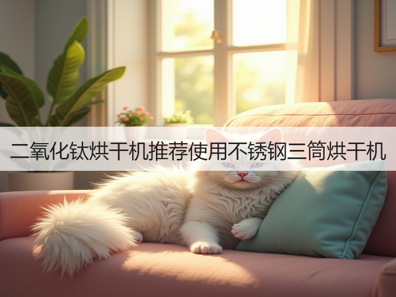 二氧化钛烘干机推荐使用不锈钢三筒烘干机