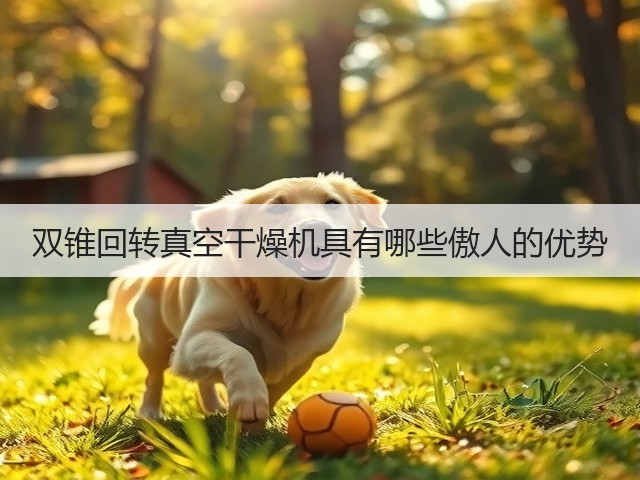 双锥回转真空干燥机具有哪些傲人的优势(图2) 双锥回转真空干燥机具有哪些傲人的优势(图2)