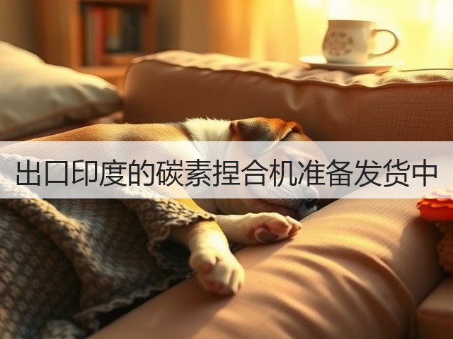 出口印度的碳素捏合机准备发货中(图2) 出口印度的碳素捏合机准备发货中(图2)