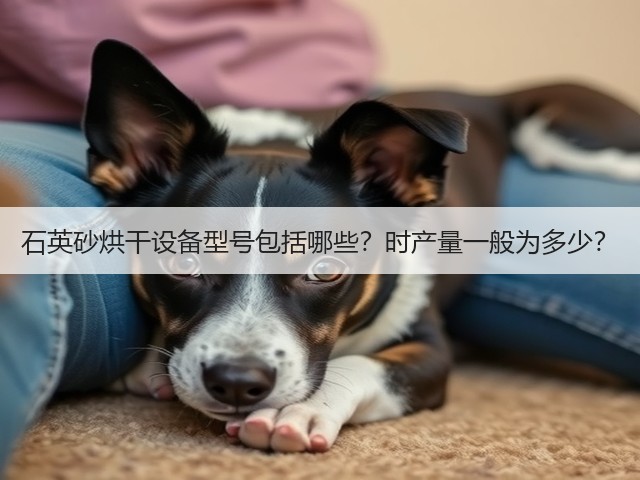 石英砂烘干设备型号包括哪些?时产量一般为多少?(图1) 石英砂烘干设备型号包括哪些?时产量一般为多少?(图1)