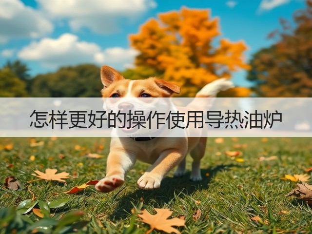 怎样更好的操作使用导热油炉(图3) 怎样更好的操作使用导热油炉(图3)