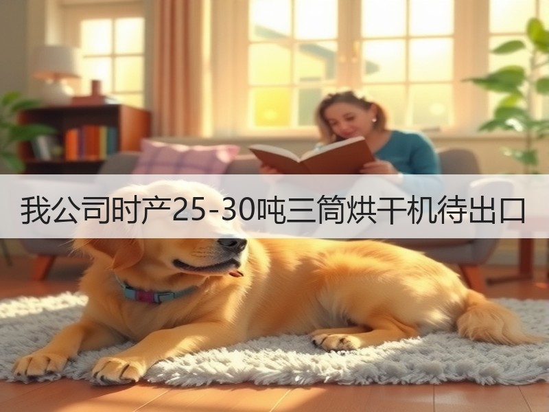 我公司时产25-30吨三筒烘干机待出口