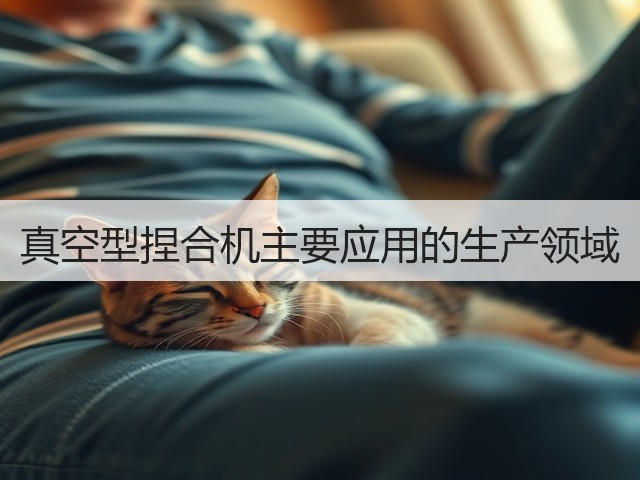 真空型捏合机主要应用的生产领域(图1) 真空型捏合机主要应用的生产领域(图1)